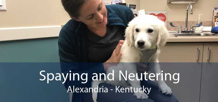 Spaying and Neutering Alexandria - Kentucky