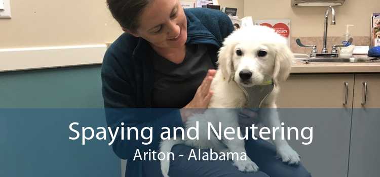 Spaying and Neutering Ariton - Alabama
