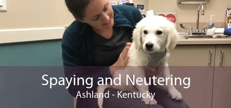 Spaying and Neutering Ashland - Kentucky