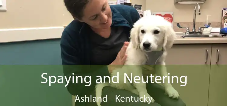 Spaying and Neutering Ashland - Kentucky