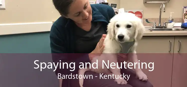 Spaying and Neutering Bardstown - Kentucky