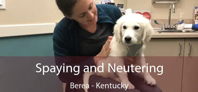 Spaying and Neutering Berea - Kentucky