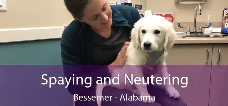 Spaying and Neutering Bessemer - Alabama