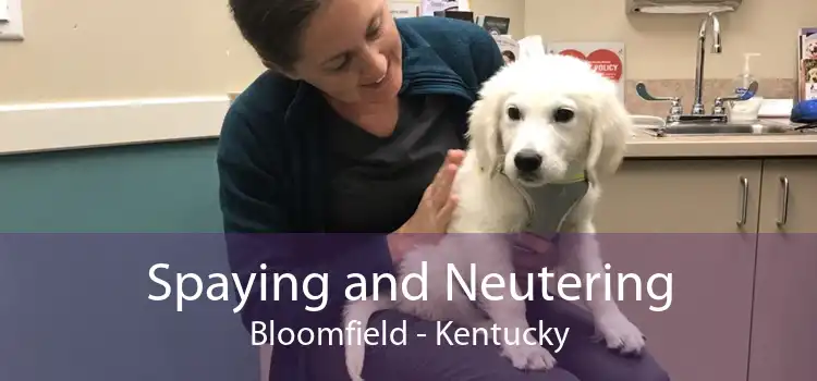 Spaying and Neutering Bloomfield - Kentucky