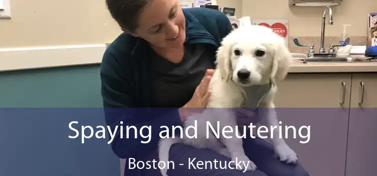 Spaying and Neutering Boston - Kentucky