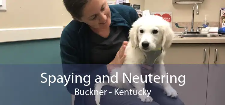 Spaying and Neutering Buckner - Kentucky