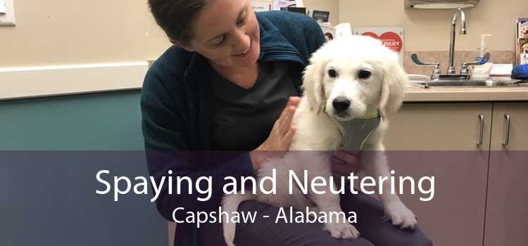 Spaying and Neutering Capshaw - Alabama