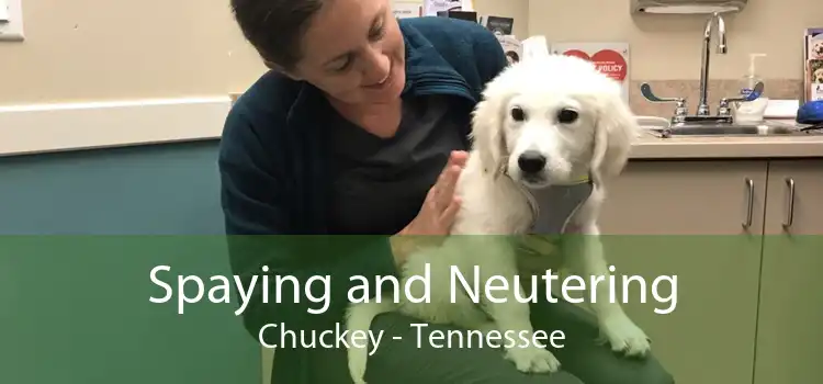 Spaying and Neutering Chuckey - Tennessee