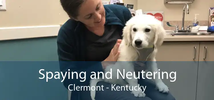 Spaying and Neutering Clermont - Kentucky