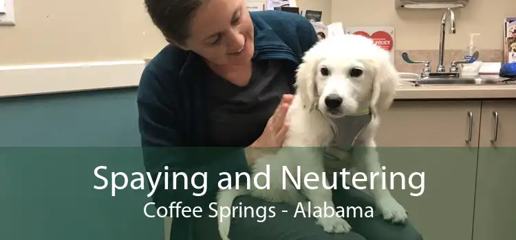 Spaying and Neutering Coffee Springs - Alabama
