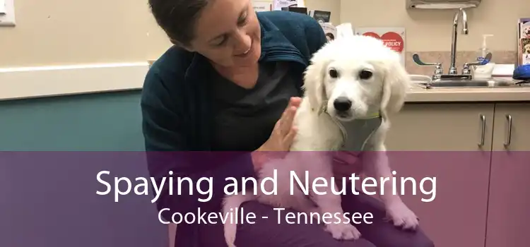 Spaying and Neutering Cookeville - Tennessee
