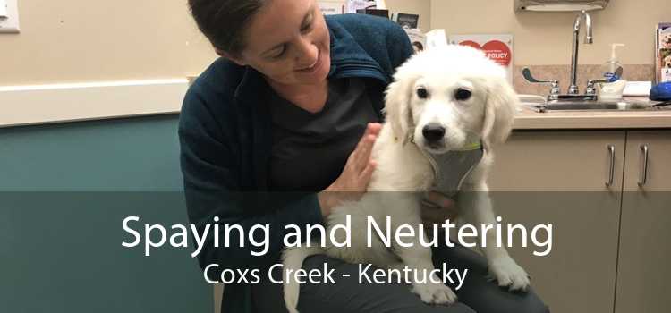 Spaying and Neutering Coxs Creek - Kentucky