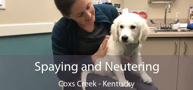 Spaying and Neutering Coxs Creek - Kentucky
