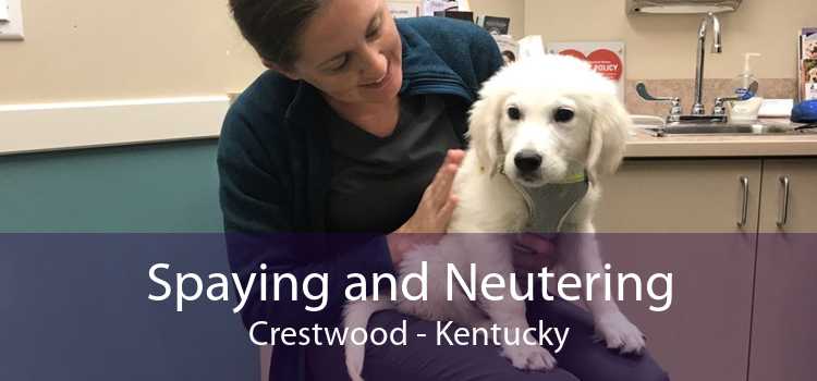 Spaying and Neutering Crestwood - Kentucky