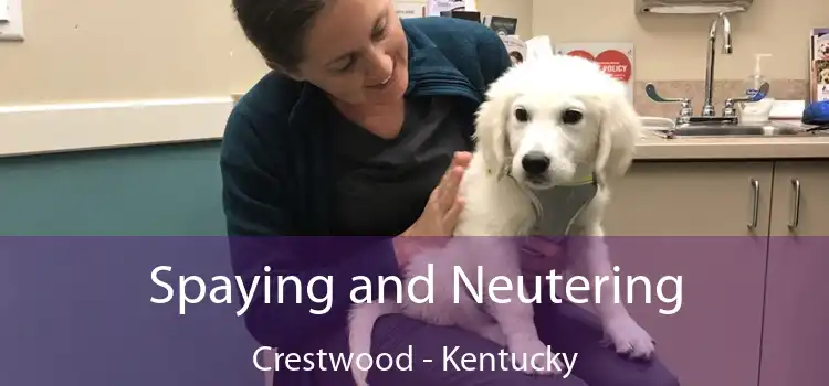 Spaying and Neutering Crestwood - Kentucky