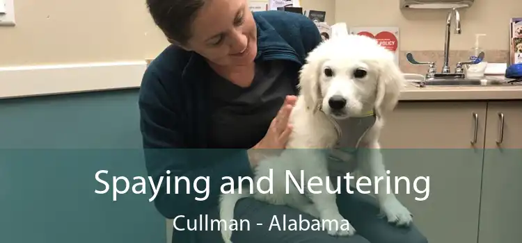 Spaying and Neutering Cullman - Alabama