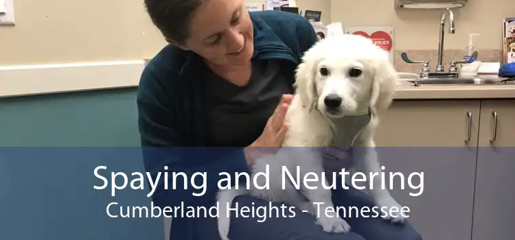 Spaying and Neutering Cumberland Heights - Tennessee