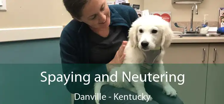 Spaying and Neutering Danville - Kentucky