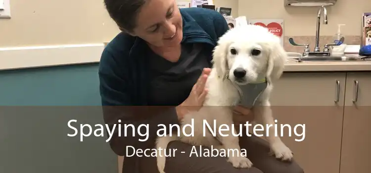 Spaying and Neutering Decatur - Alabama
