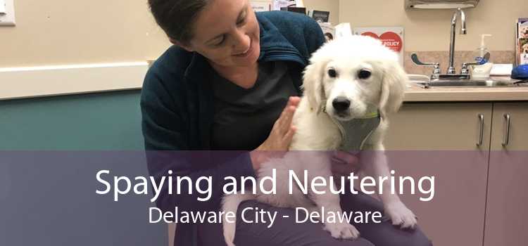Spaying and Neutering Delaware City - Delaware