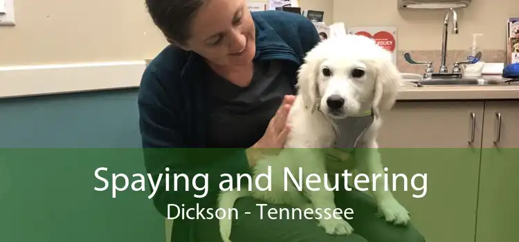 Spaying and Neutering Dickson - Tennessee