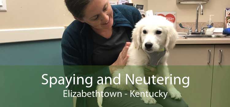 Spaying and Neutering Elizabethtown - Kentucky