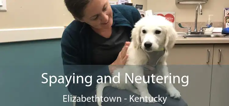 Spaying and Neutering Elizabethtown - Kentucky