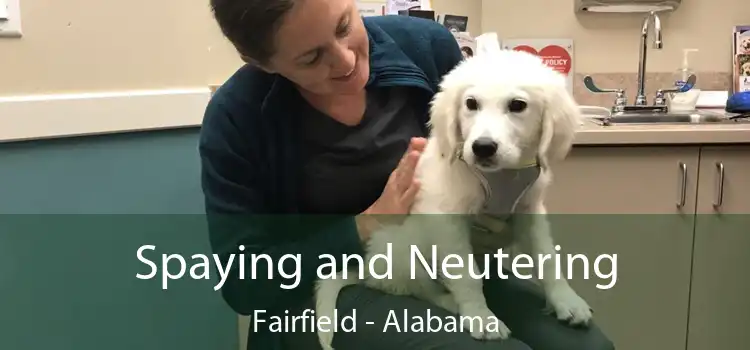 Spaying and Neutering Fairfield - Alabama