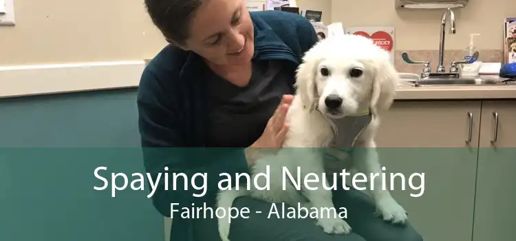 Spaying and Neutering Fairhope - Alabama