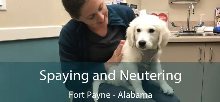 Spaying and Neutering Fort Payne - Alabama