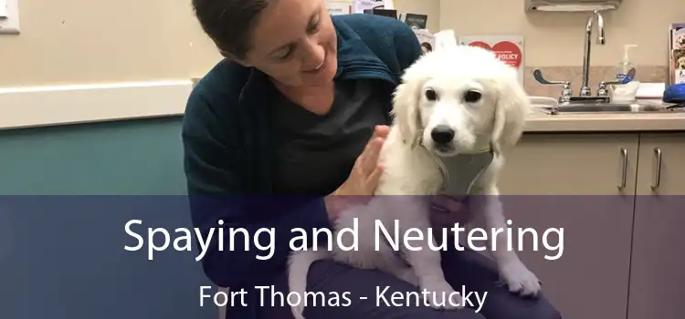 Spaying and Neutering Fort Thomas - Kentucky
