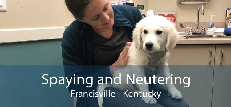 Spaying and Neutering Francisville - Kentucky