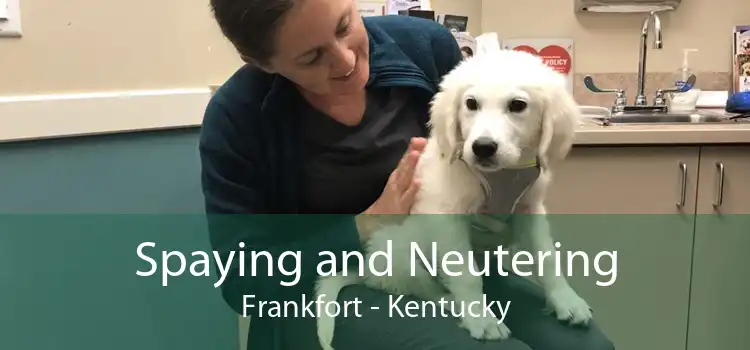 Spaying And Neutering Frankfort - Low Cost Pet Spay And Neuter Clinic