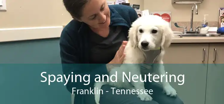Spaying and Neutering Franklin - Tennessee