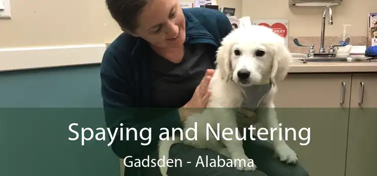 Spaying and Neutering Gadsden - Alabama