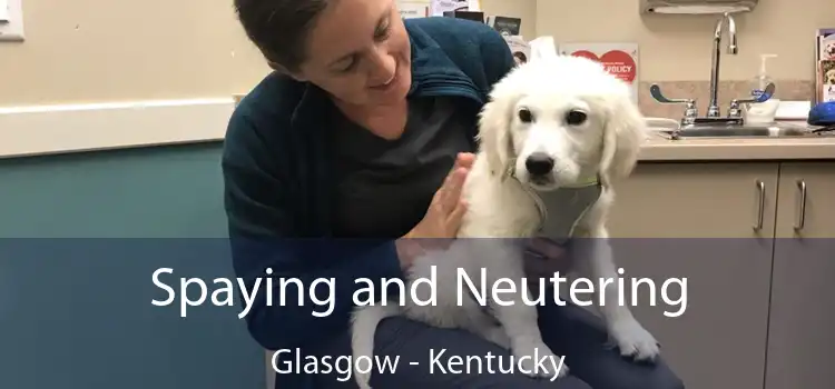 Spaying and Neutering Glasgow - Kentucky