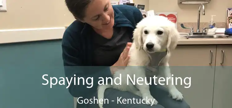 Spaying and Neutering Goshen - Kentucky