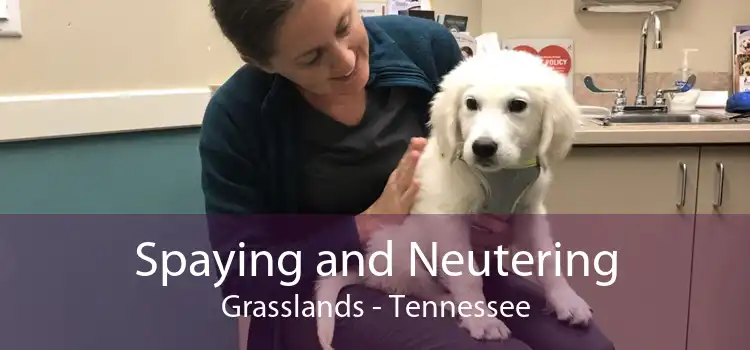 Spaying and Neutering Grasslands - Tennessee