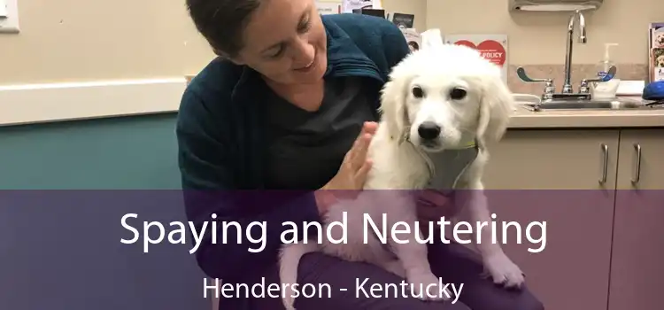 Spaying and Neutering Henderson - Kentucky