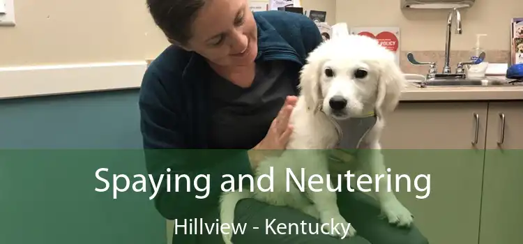 Spaying and Neutering Hillview - Kentucky