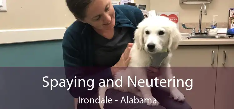 Spaying and Neutering Irondale - Alabama