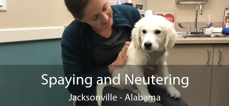 Spaying and Neutering Jacksonville - Alabama
