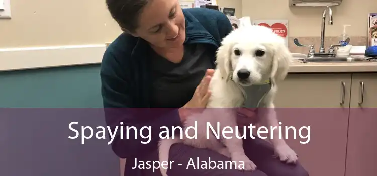 Spaying and Neutering Jasper - Alabama