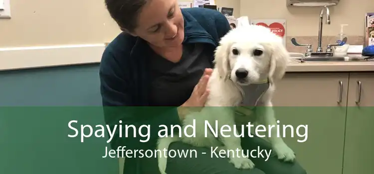 Spaying and Neutering Jeffersontown - Kentucky