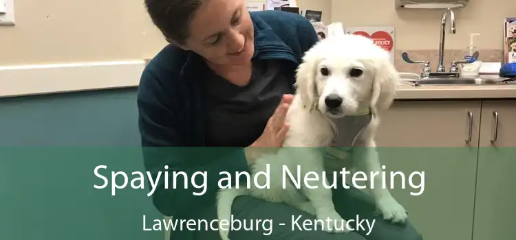 Spaying and Neutering Lawrenceburg - Kentucky