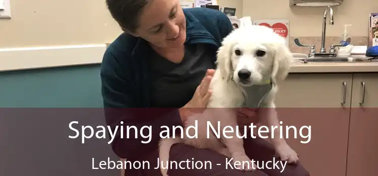 Spaying and Neutering Lebanon Junction - Kentucky