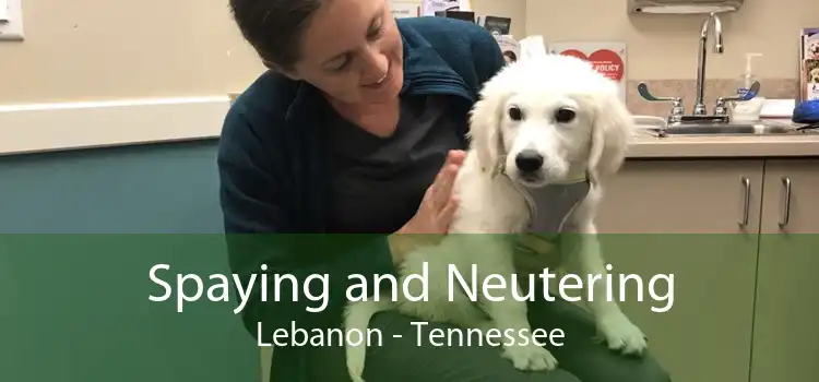 Spaying and Neutering Lebanon - Tennessee