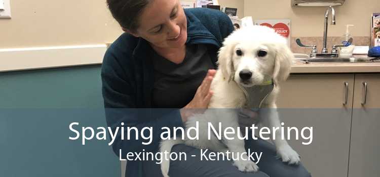 Spaying and Neutering Lexington - Kentucky
