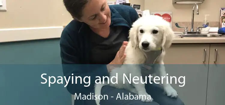 Spaying and Neutering Madison - Alabama