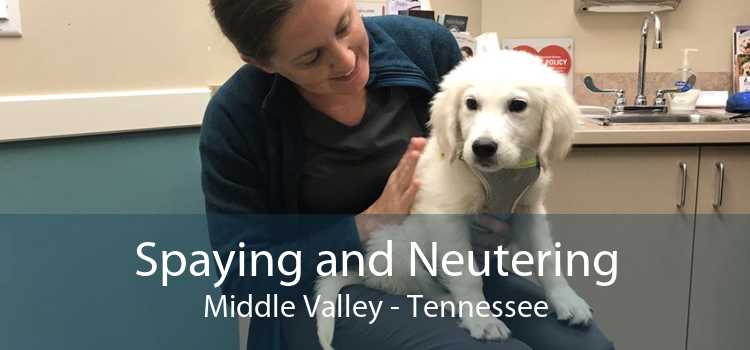 Spaying and Neutering Middle Valley - Tennessee
